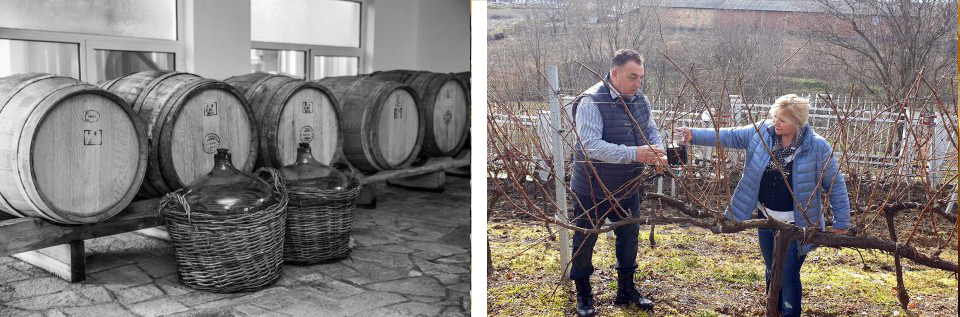 Ivaylovgrad Weinmarketing Bossev | Kellerei